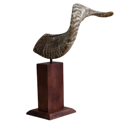 Natural 14 inch Long Ox Horn mounted on Wood for Home Decor Best for Home Decor. thumbnail 1